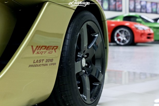 viper-collection (8)