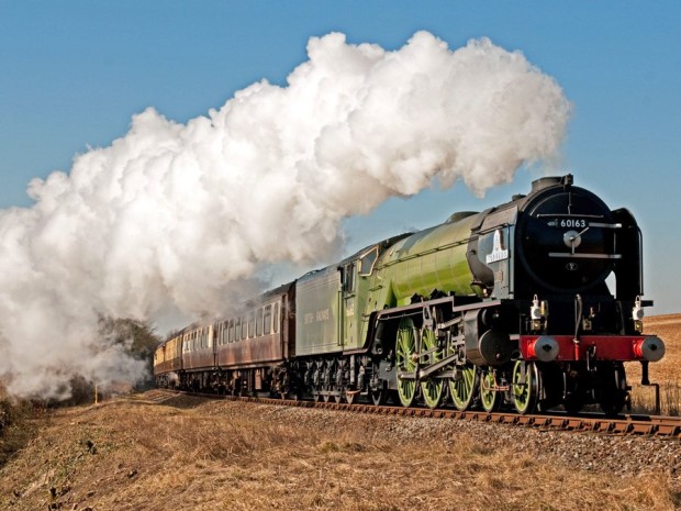 tornado-a1-steam-train