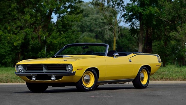 cuda-amarelo (9)