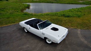 cuda-branco (11)