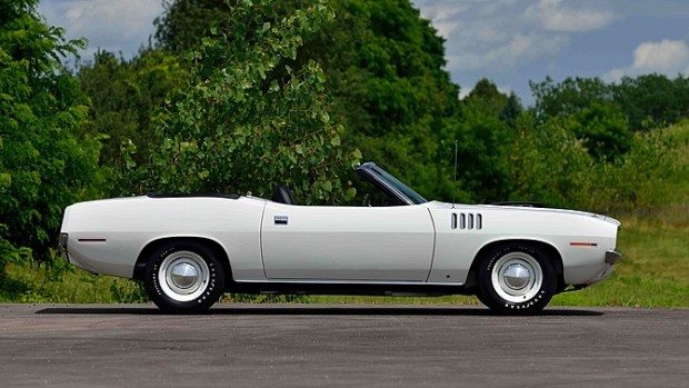 cuda-branco (2)