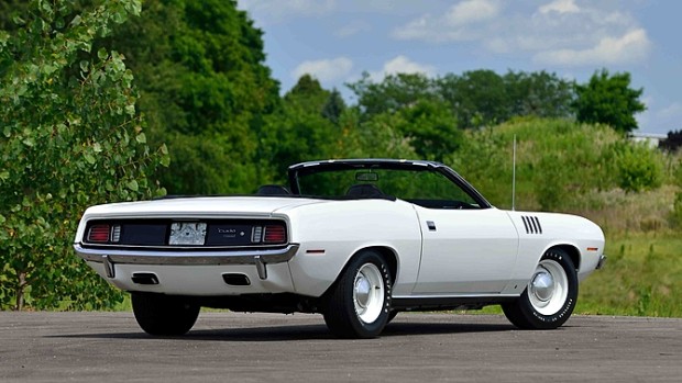 cuda-branco (3)