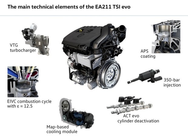 vgt (1)