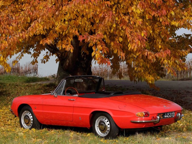 alfa_romeo_1750_spider_veloce_11